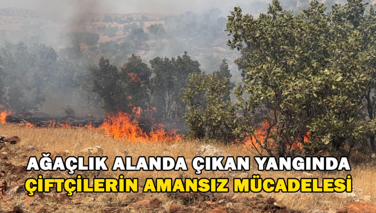 Ağaçlık Alanda Çıkan Yangında Çiftçilerin Amansız Mücadelesi Takdir Topladı