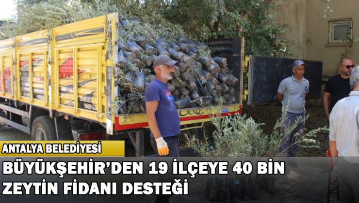 Büyükşehir’den 19 İlçeye 40 Bin Zeytin Fidanı Desteği