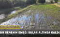 Erzincan’da Çiftçilerin Kanal İsyanı: “Bir Senenin Emeği Sular Altında Kaldı”
