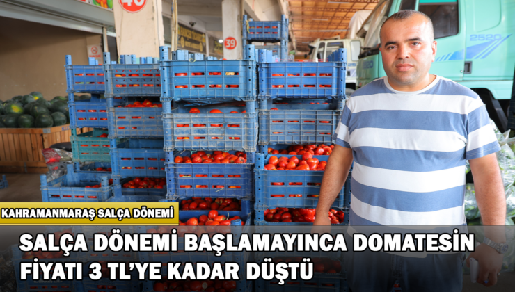 Salça Dönemi Başlamayınca Domatesin Fiyatı 3 Tl’ye Kadar Düştü