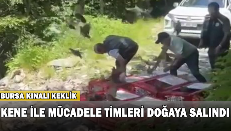 Kene İle Mücadele Timleri Doğaya Salındı
