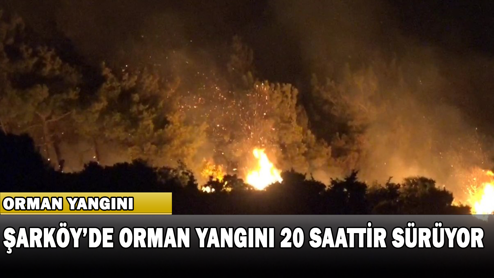 Şarköy’de Orman Yangını 20 Saattir Sürüyor