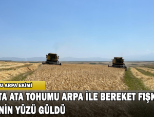 Kars’ta Ata Tohumu Arpa İle Bereket Fışkırdı: Çiftçinin Yüzü Güldü