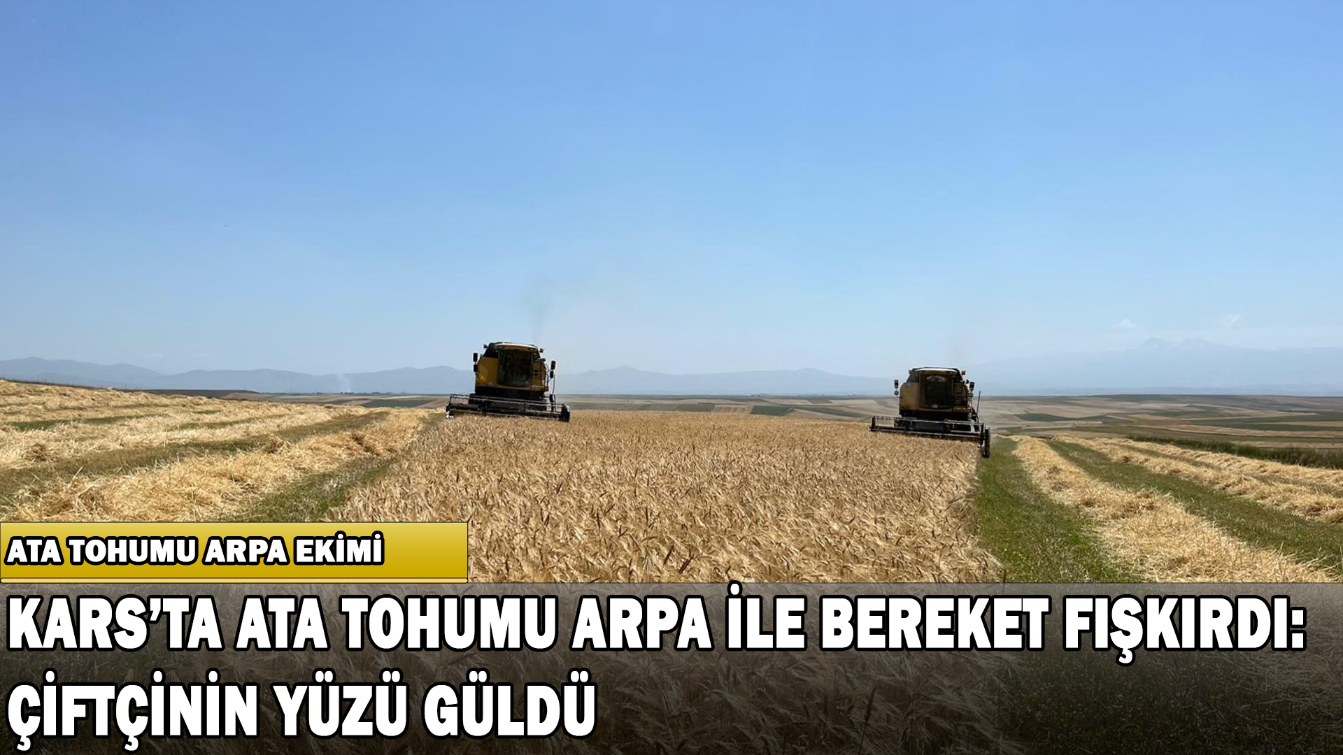 Kars’ta Ata Tohumu Arpa İle Bereket Fışkırdı: Çiftçinin Yüzü Güldü