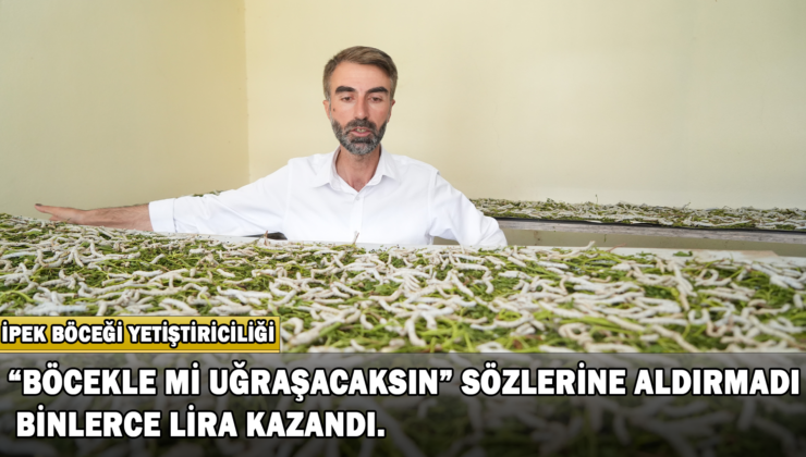Böcekle Mi Uğraşacaksın Sözüne Aldırmadı Binlerce Lira Kazandı