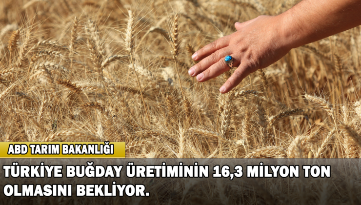 ABD Tarım Bakanlığı Türkiye Buğday Üretiminin 16,3 Milyon Ton Olmasını Bekliyor